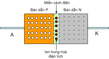 Mối tiếp xúc P - N  => Cấu tạo của Diode