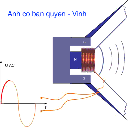 hoạt động của loa