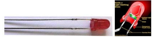 led phát quang