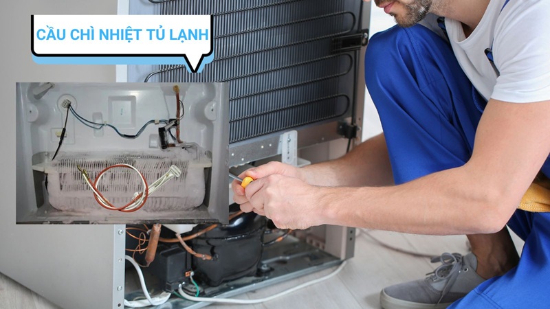 cầu chì nhiệt tủ lạnh là gì