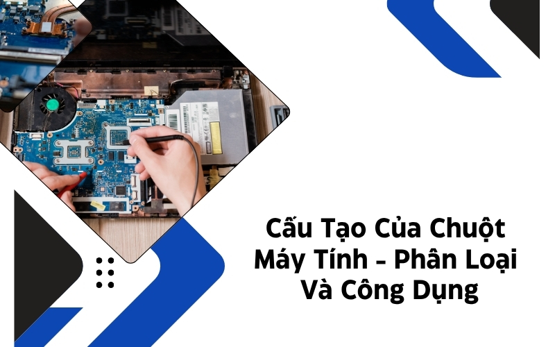 cấu tạo của chuột máy tính