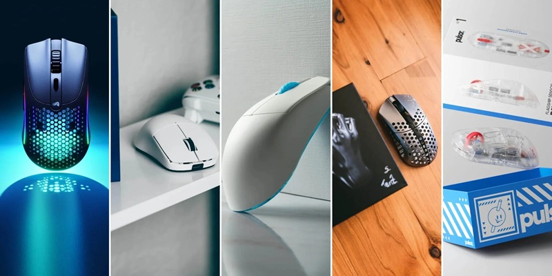 phân loại chuột máy tính