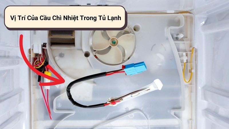 vị trí cầu chì nhiệt tủ lạnh