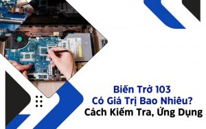biến trở 103 có giá trị bao nhiêu