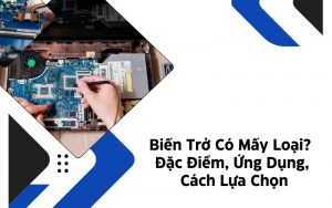 biến trở có mấy loại